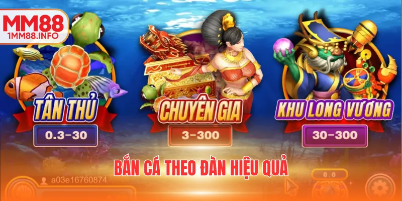 Bắn cá theo đàn hiệu quả
