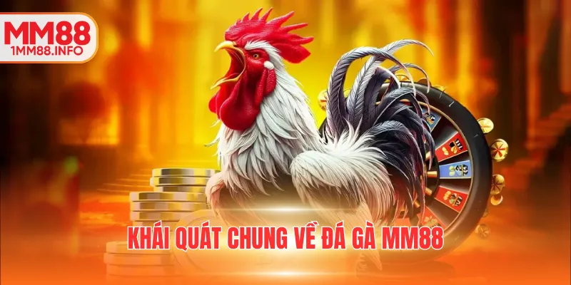 Khái quát chung về đá gà MM88