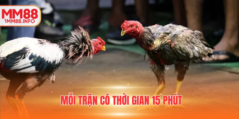Mỗi trận có thời gian 15 phút