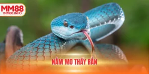 nằm mơ thấy rắn
