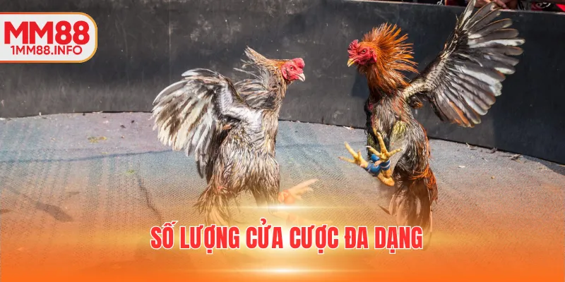 Số lượng cửa cược đa dạng