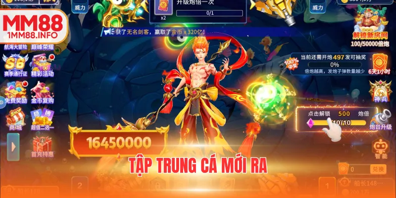 Tập trung cá mới ra