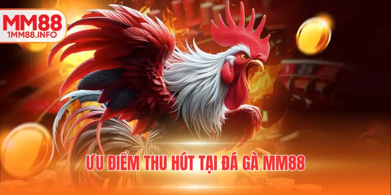 Ưu điểm thu hút tại đá gà MM88